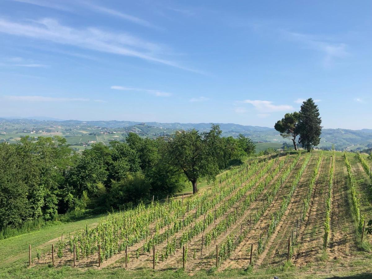 Cascina San Michele Costigliole d'Asti Exterior foto