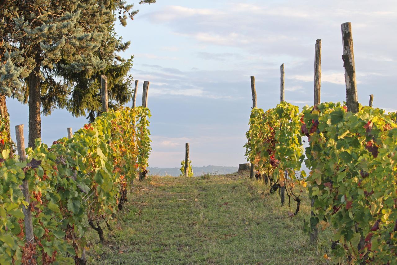 Cascina San Michele Costigliole d'Asti Exterior foto